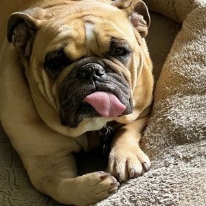 Meet your Posher, Thomas